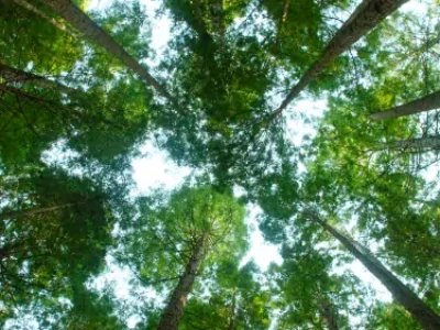 Una mujer mirando desde el balcón de un hotel.