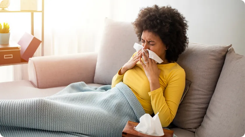 a sunny image of a tree, thriving in nature.